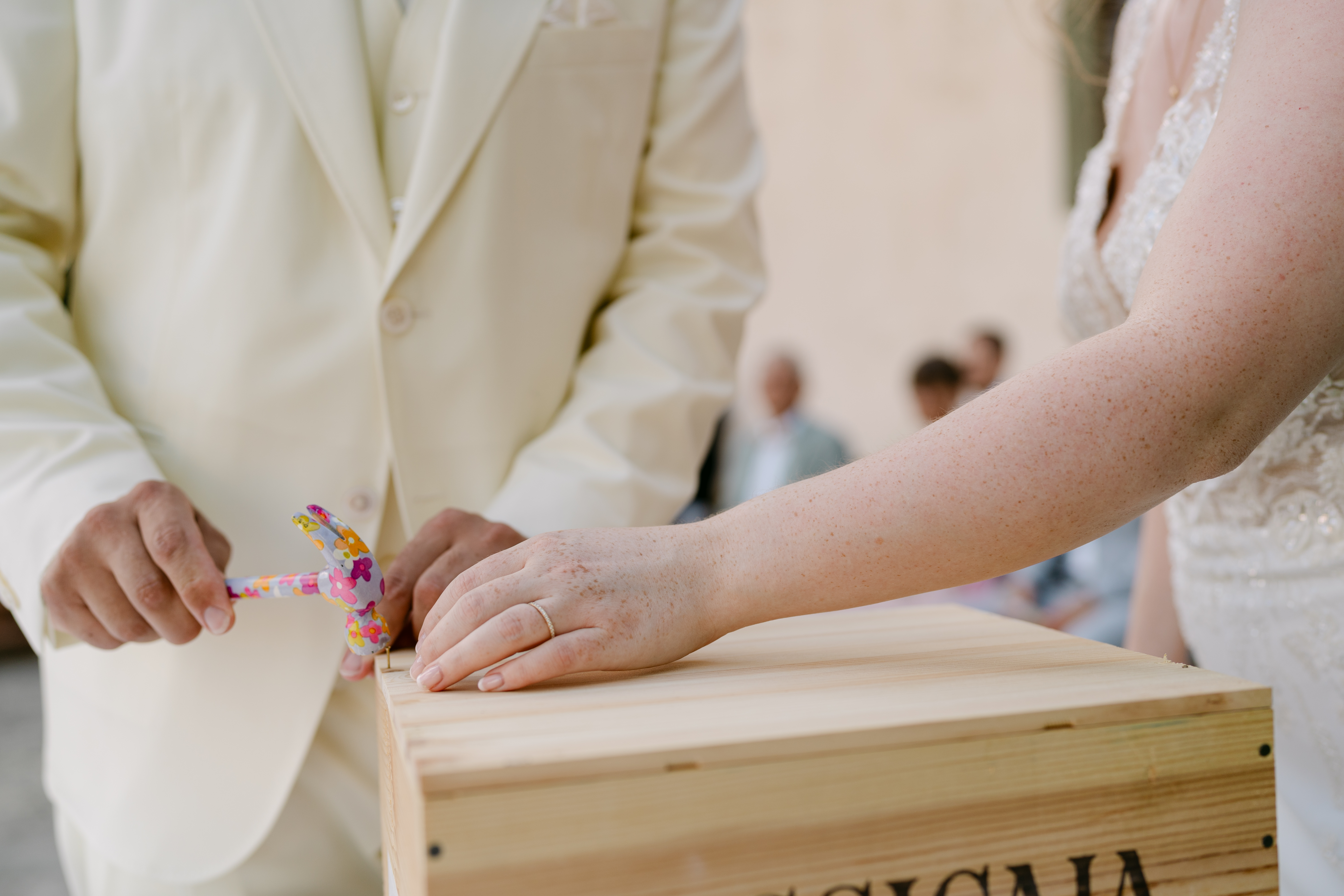 Bildbeschreibungstext